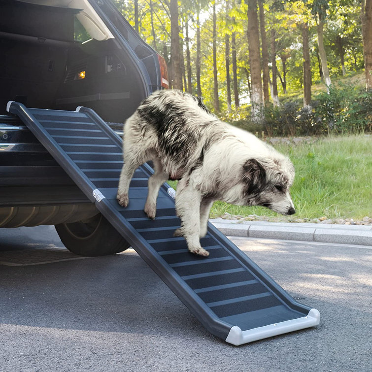 Tucker Murphy Pet 63 Folding Dog Ramp For Large Dogs Portable